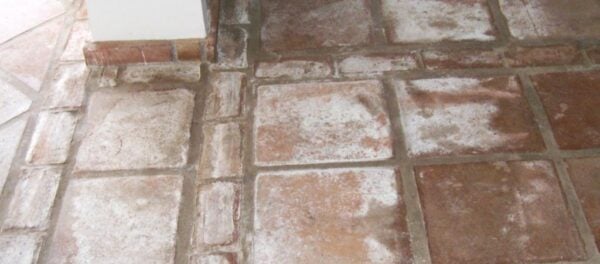 Imagen de una junta de baldosas artesanales sin tratamiento ni mantenimiento profesional