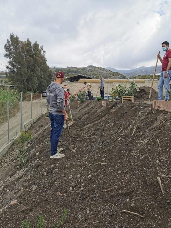 Fotografía del talud sobre el que se van a plantar las especies seleccionadas