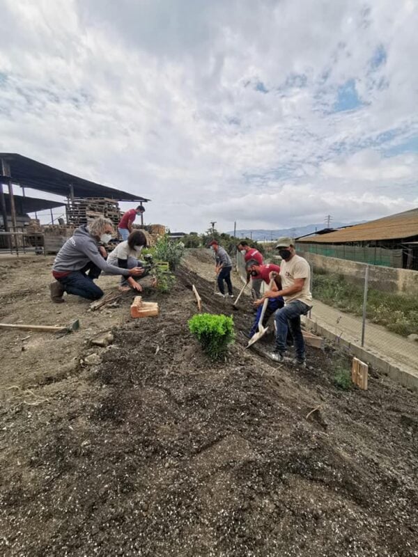 El equipo de AGUESA y todobarro se pone manos a la obra para plantar especies endémicas
