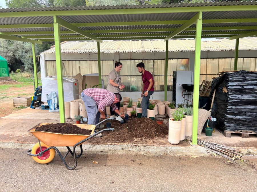 Clay planters and the naturalization of spaces: our commitment to Material Matters 2023