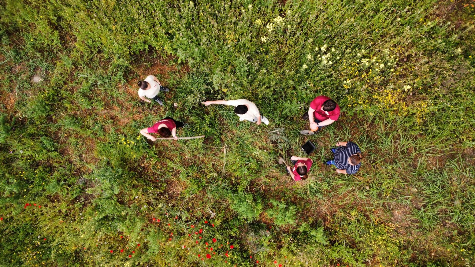 Jornada de plantación en Coín con la Cátedra de Cambio Climático de la UMA