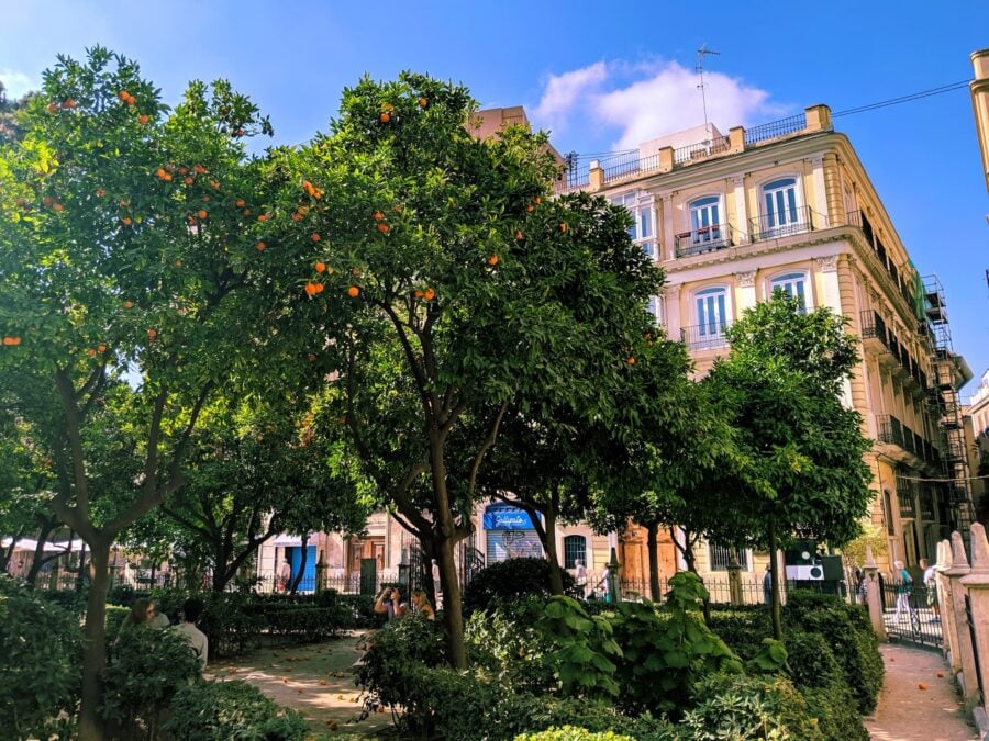 What are climate shelters?