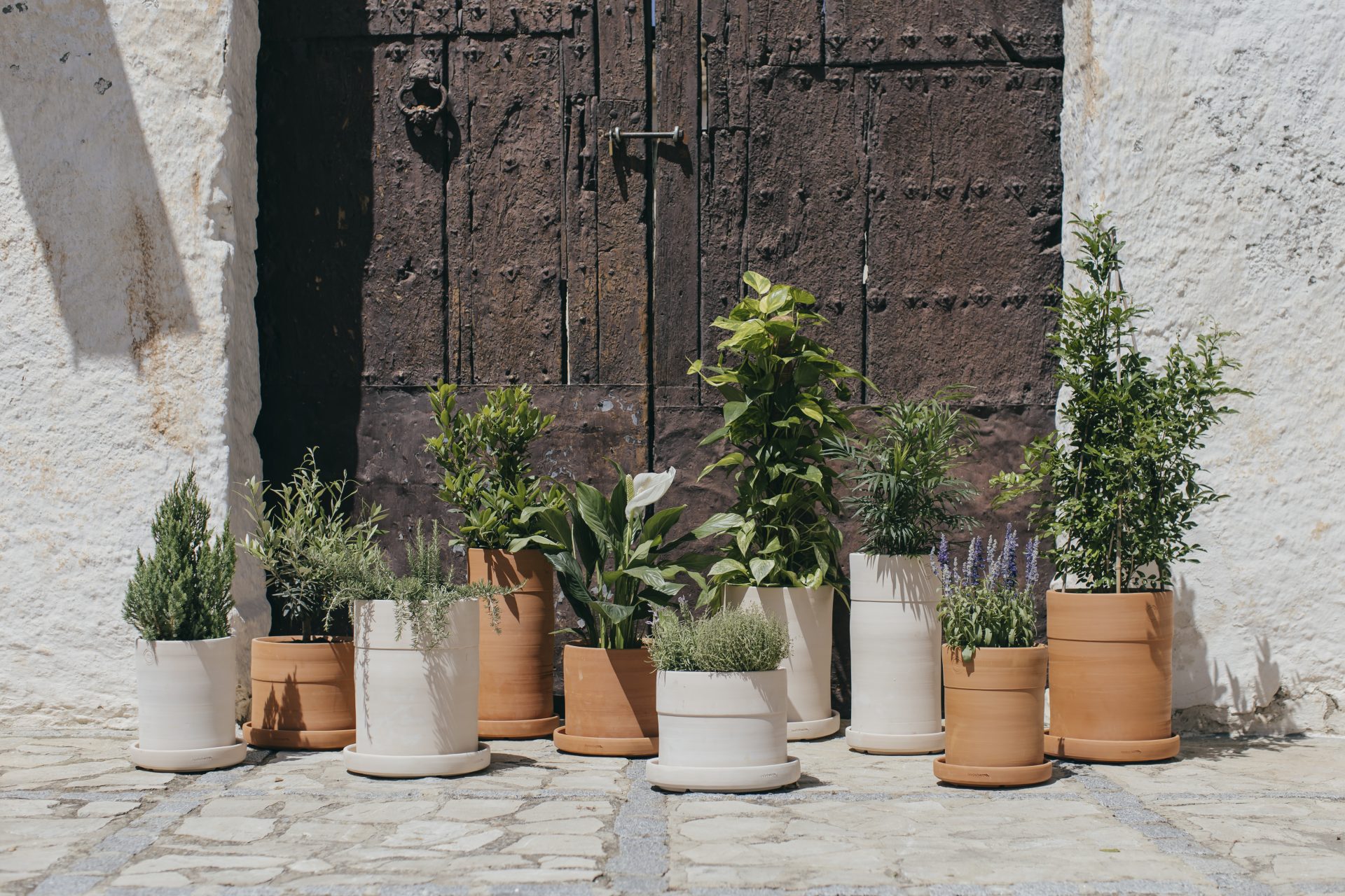 Nouvelle boutique en ligne