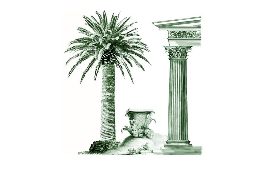 Pedro Guerrero y Enrique Salvo-Tierra publican “La influencia botánica en la arquitectura” con la editorial Recolectores urbanos