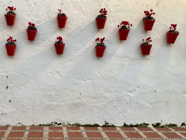 Imagen de una pared con el tradicional encalado andaluz